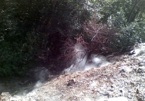 Incendiu Moisei (c) cititorii in actiune